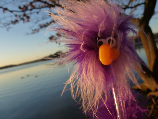 Inga am M�hnesee 1