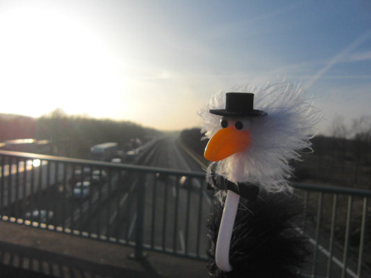 Alfred auf A44-Autobahnbrcke
