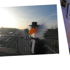 Alfred auf der A44-Brcke