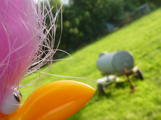 Floyd und die Glle