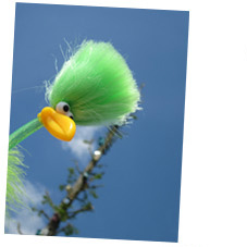 Fred und die Vogelhuser