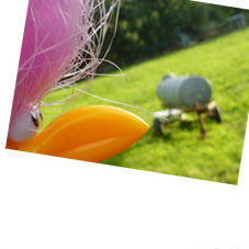 Floyd und die Glle