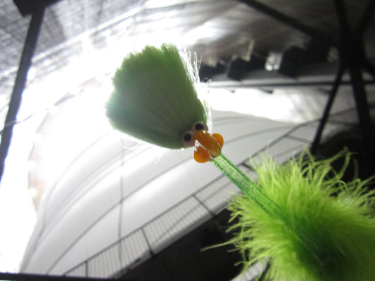 Fred und das �u�ere Paket