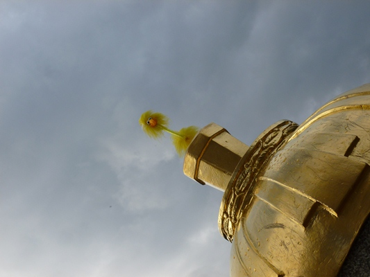 Fibo am Soldatendenkmal