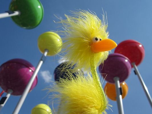 Fibo am begehbaren Stadtplan