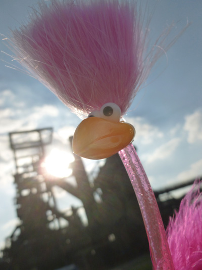 Floyd bei Phoenix West