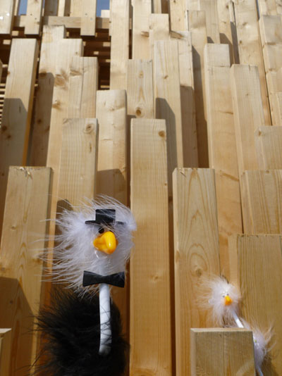 Frida & Alfred mit Holzwand