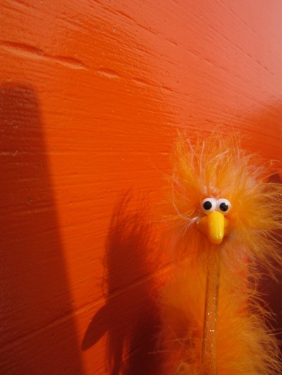 Fiffy mit Stein in orange