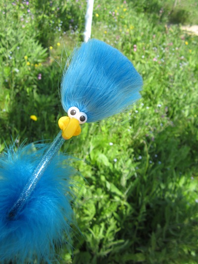 Franz Ferdinand auf der Wiese