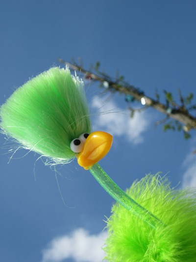 Fred und der Vogelhausbaum