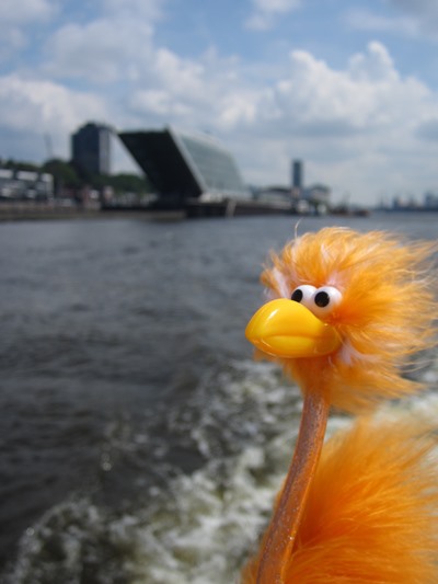 Fiffy vom Winde verweht