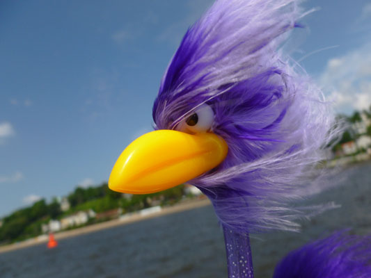 Inga vom Winde verwirrt