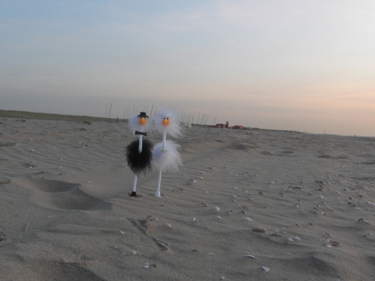 Frida & Alfred am Strand