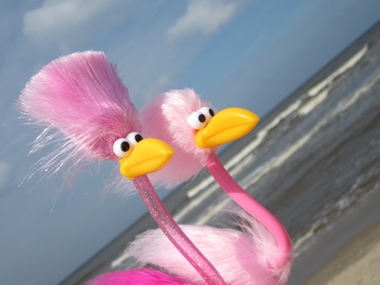 Finja und Floyd spazieren