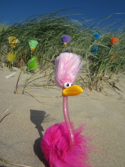 Floyd und die Mingos