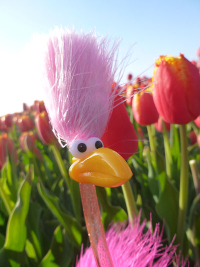 Floyd mit mehr Tulpen