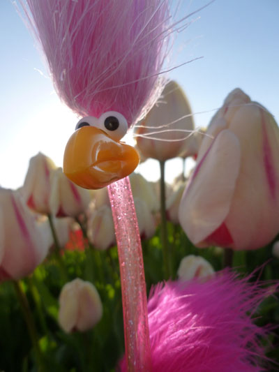 Floyd mit noch mehr Tulpen