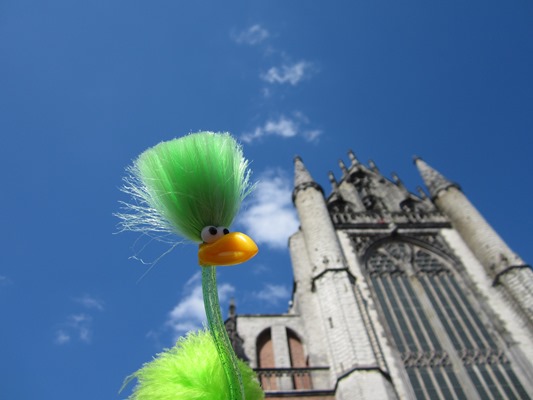 Fred schaut immer noch