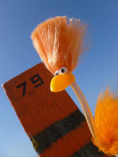 Freddy am Treffpunkt 79