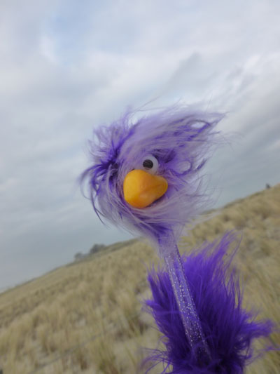 Inga im Wind