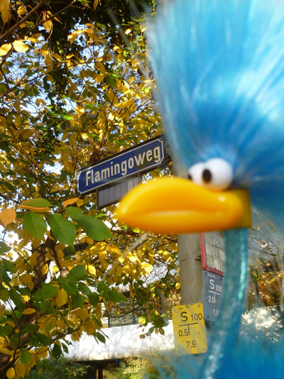 Franz Ferdinand am Flamingoweg