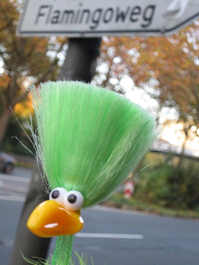 Fred unterwegs zum Flamingoweg