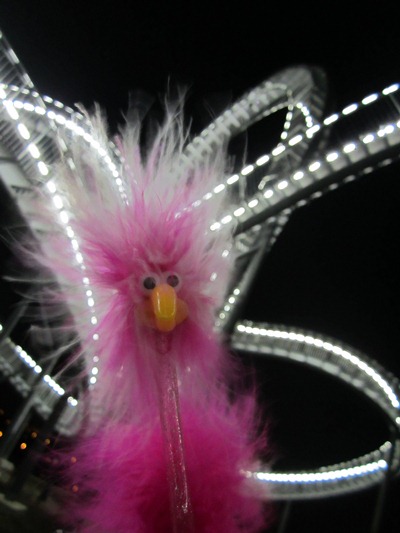 Fredda am Tiger & Turtle