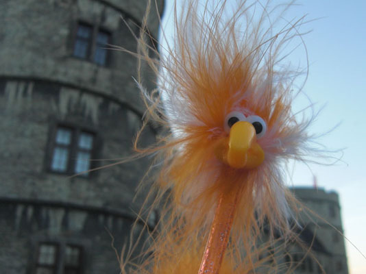 Fiffy an der Wewelsburg