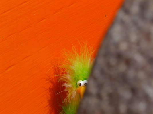 Frederike versteckt