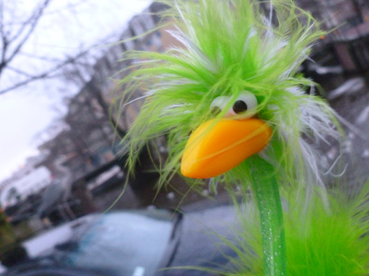 Frederike und der versteckte Vogel