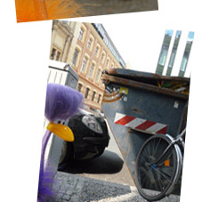 Ingo und das parkende Y