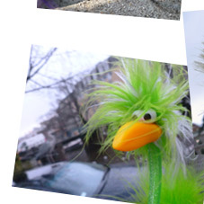 Frederike und der versteckte Vogel